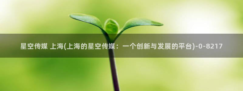 怎么应聘星空传媒