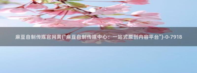 麻豆短片