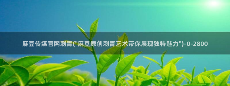 麻豆视频相关搜索