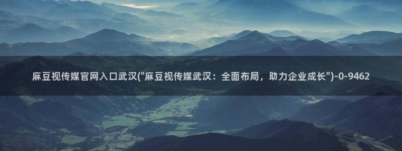 麻豆视频资料文案