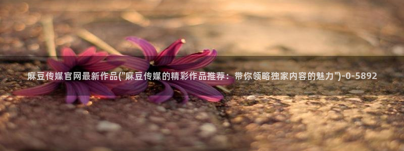 麻豆高口碑视频