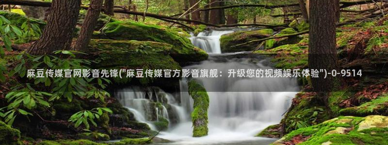 麻豆视频在线