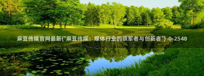 麻豆视频可读内容