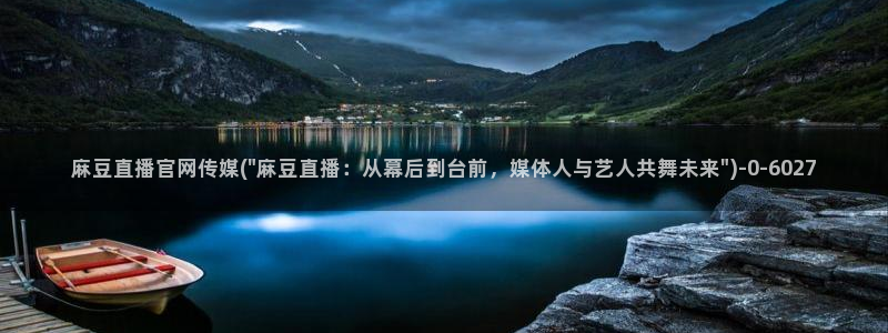 麻豆视频用户体验