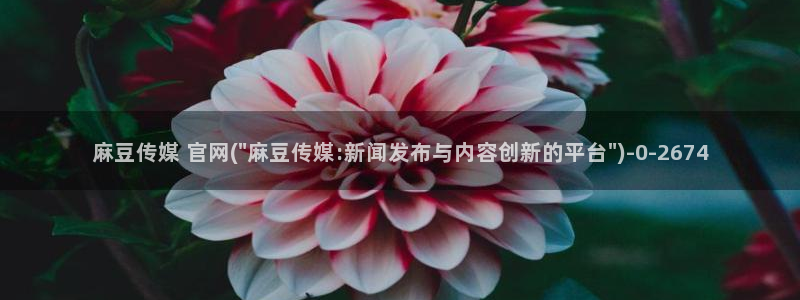麻豆传媒在线观看