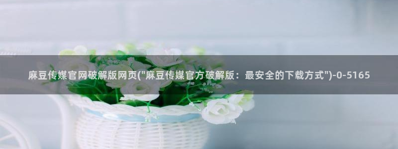 麻豆视频用户体验