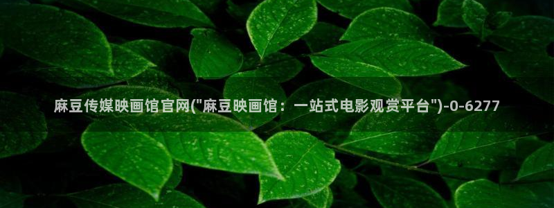 麻豆观看标题