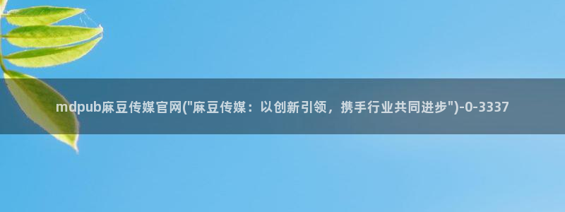 麻豆SEO模板