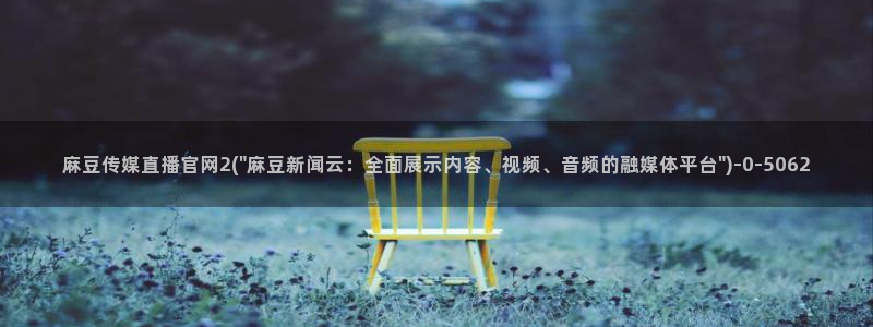 麻豆资源站模板