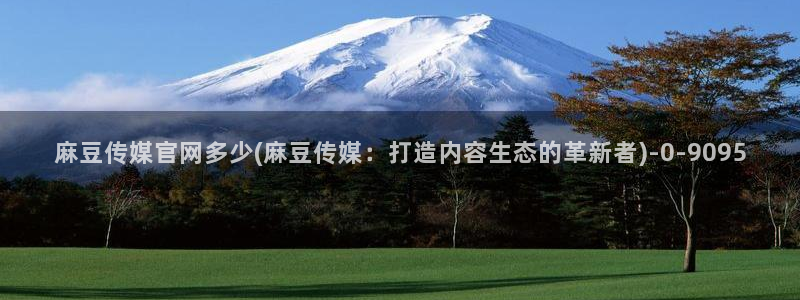 麻豆视频百度优化