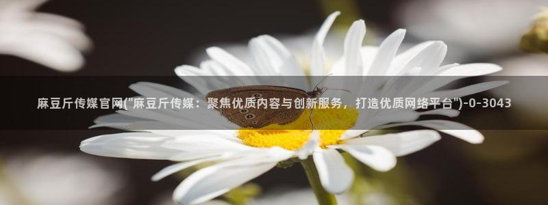 麻豆榜单标题