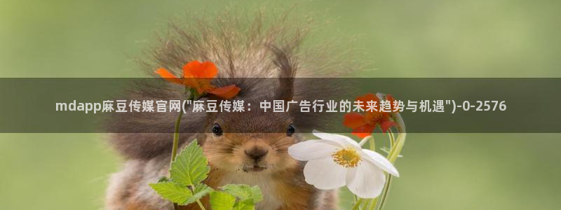 麻豆视频文章标题