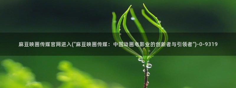 麻豆SEO关键词
