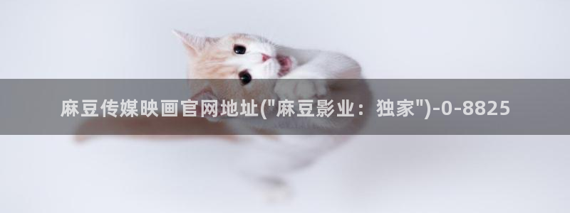 麻豆视频伪原创