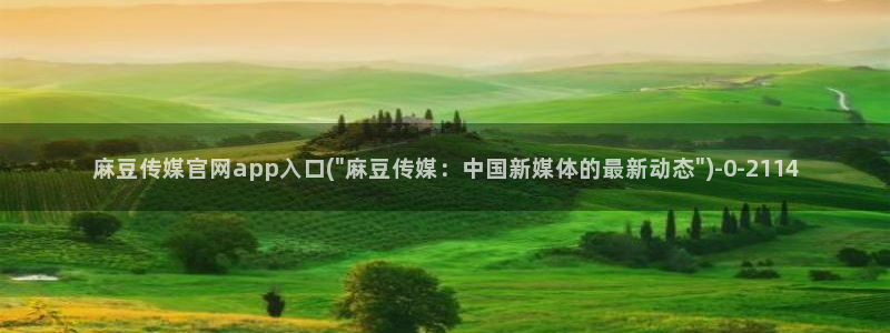 麻豆视频可读内容