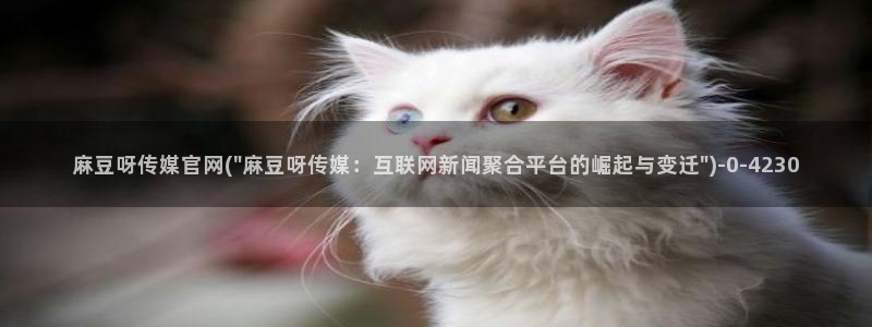 麻豆视频可读内容