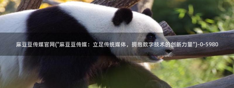 麻豆描述库：麻豆豆传媒官网(\