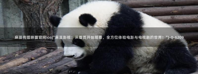 麻豆高口碑视频