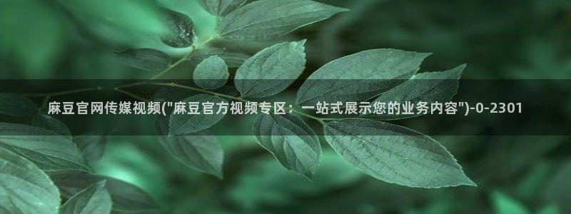 麻豆视频合集整理