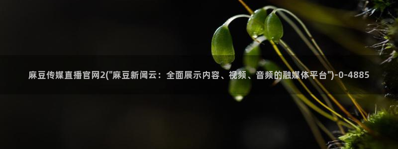 麻豆视频资讯文案