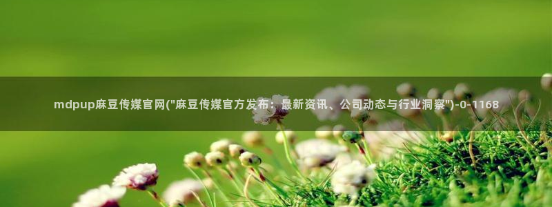 麻豆视频更新