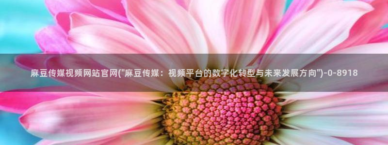 麻豆视频首页文案